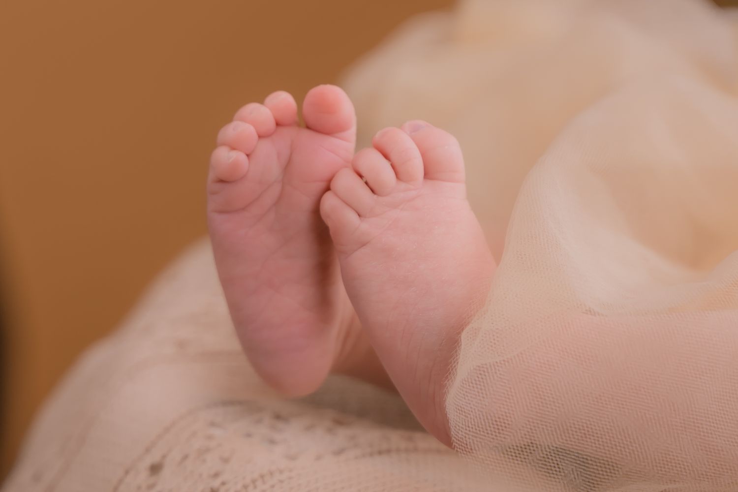 Fotoshoot van je Newborn, baby in zachte neutrale kleuren