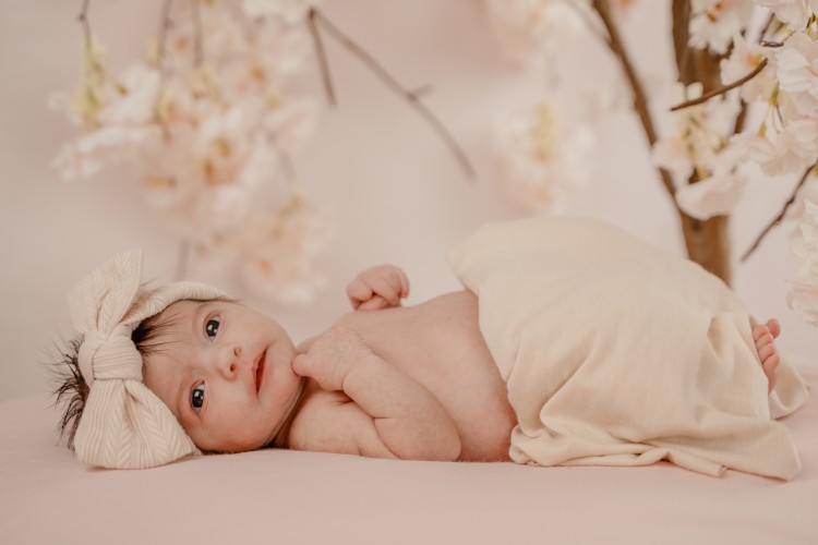 Newbornfotograaf Oud-Turnhout