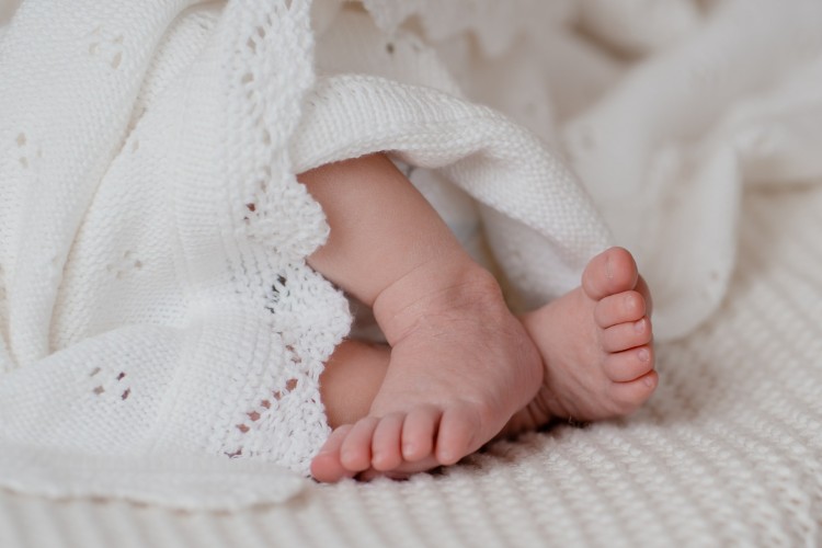 Newbornfotograaf Hoogstraten
