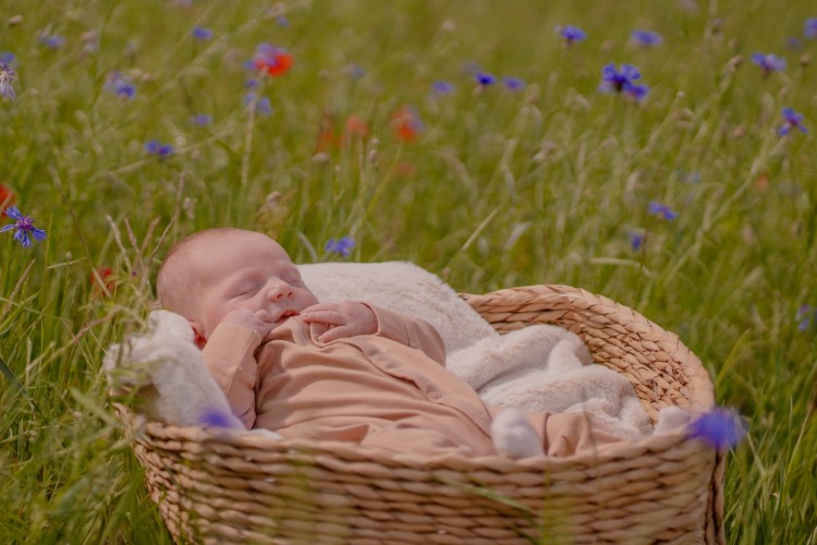 Newbornfotograaf Oud-Turnhout