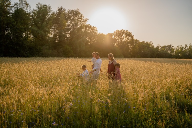 Gezin, Families
