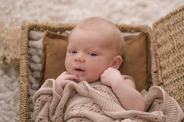 Newborn fotograaf Brecht